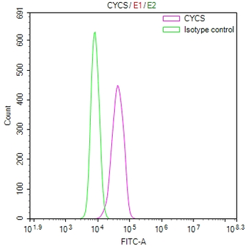 CYCS Antibody
