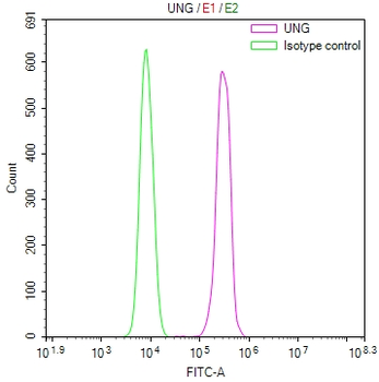 UNG Antibody