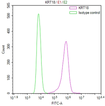 KRT18 Antibody