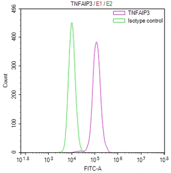 TNFAIP3 Antibody