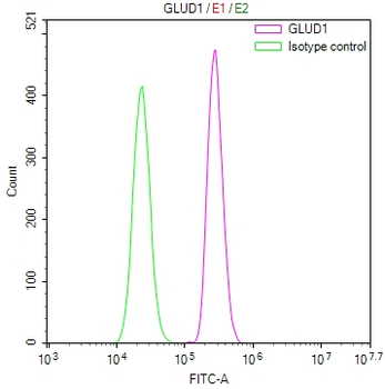 GLUD1 Antibody