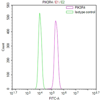 PIK3R4 Antibody