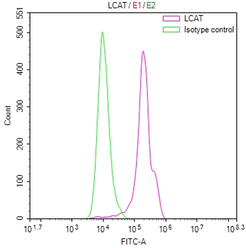 LCAT Antibody