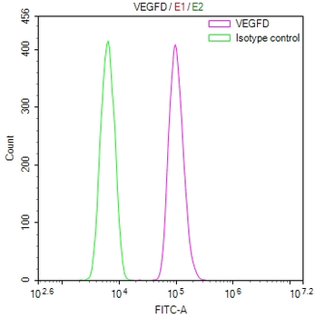 VEGFD Antibody