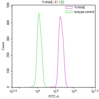YWHAE Antibody