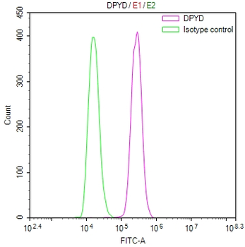 DPYD Antibody