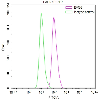 BAG6 Antibody