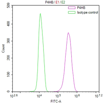 P4HB Antibody