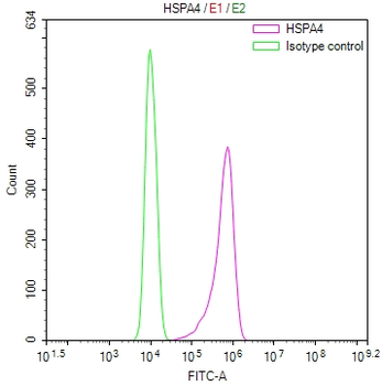HSPA4 Antibody
