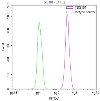 TSG101 Antibody