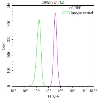 CIRBP Antibody