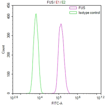 FUS Antibody