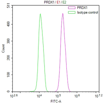 PRDX1 Antibody