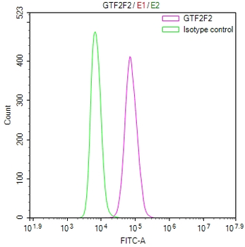 GTF2F2 Antibody