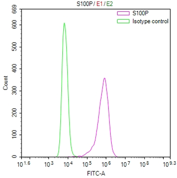 S100P Antibody