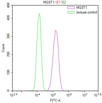 MGST1 Antibody