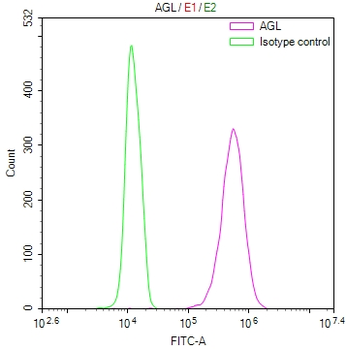 AGL Antibody