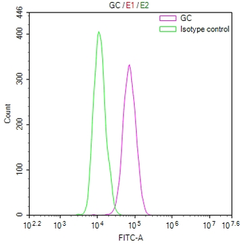 GC Antibody