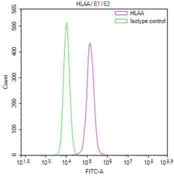 HLA-B&HLA-A Antibody