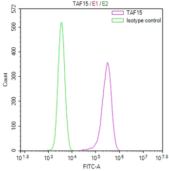 TAF15 Antibody
