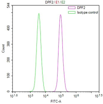 DPF2 Antibody