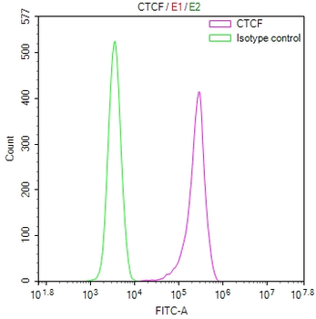 CTCF Antibody