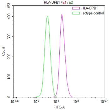 HLA-DPB1 Antibody