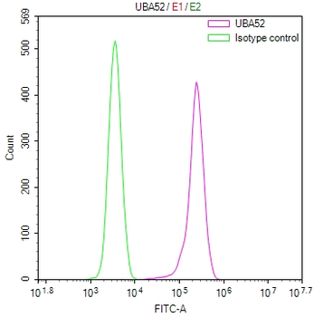 UBA52 Antibody