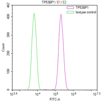 TP53BP1 Antibody