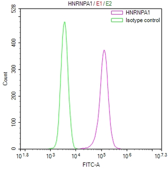 HNRNPA1 Antibody