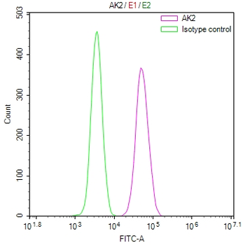 AK2 Antibody