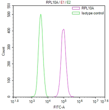 RPL10A Antibody