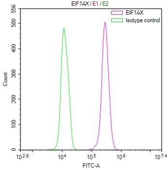 EIF1AX Antibody