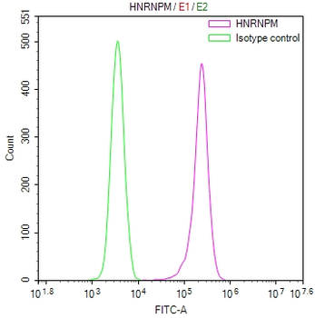 HNRNPM Antibody