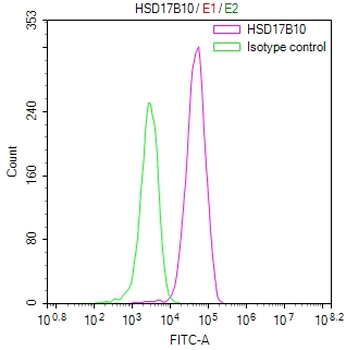 HSD17B10 Antibody