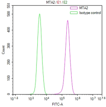 MTA2 Antibody