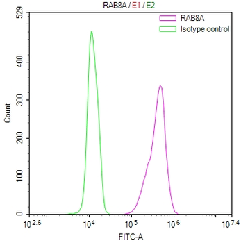 RAB8A Antibody