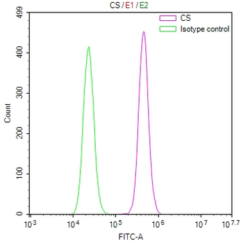 CS Antibody