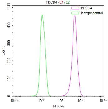 PDCD4 Antibody