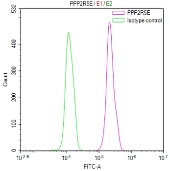 PPP2R5E Antibody