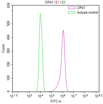 OPA1 Antibody