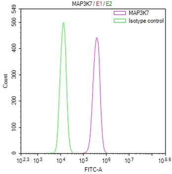 MAP3K7 Antibody