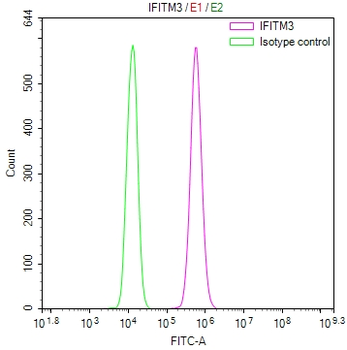 IFITM3 Antibody