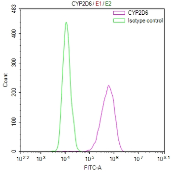 CYP2D6 Antibody