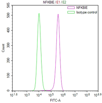 NFKBIE Antibody