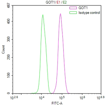 GOT1 Antibody