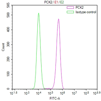 PCK2 Antibody