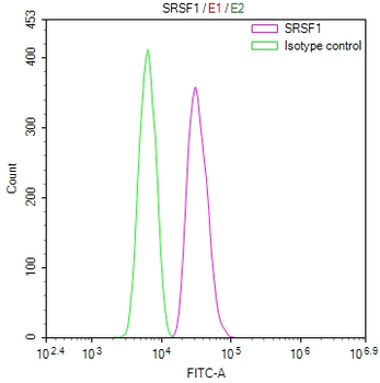 SRSF1 Antibody