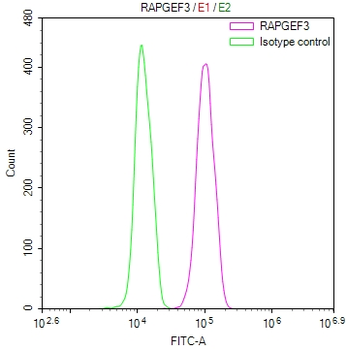 RAPGEF3 Antibody