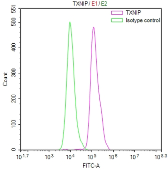 TXNIP Antibody